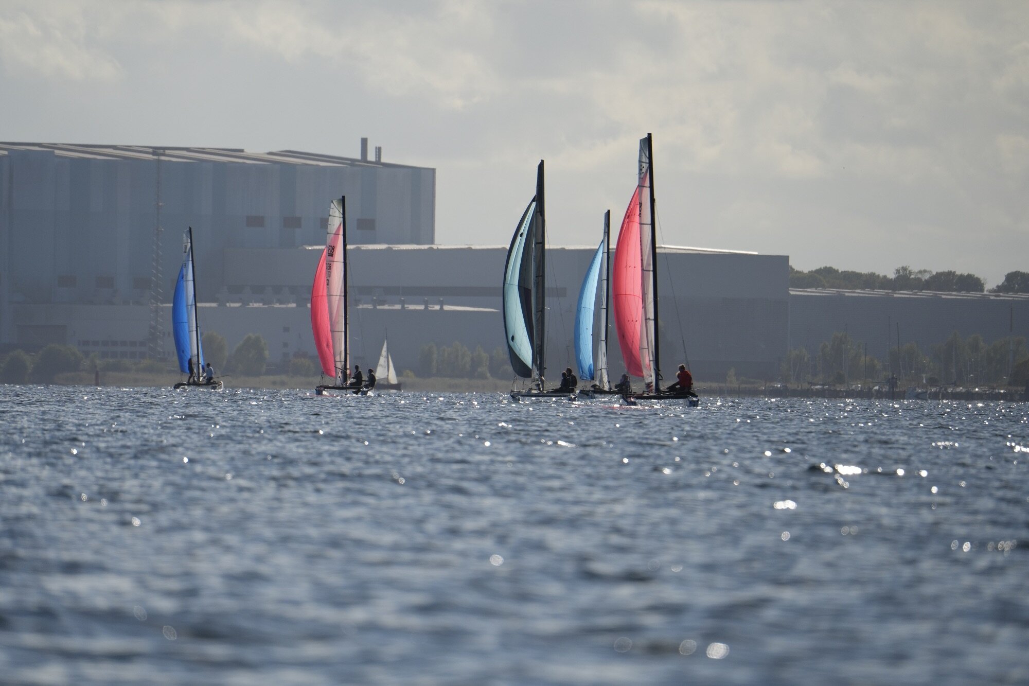 Fünf Formula-18-Katamarane unter blauen und roten Gennakern auf der Wismarbucht, dahinter große Hallen am Ufer